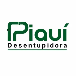 Piauí Desentupidora - logo